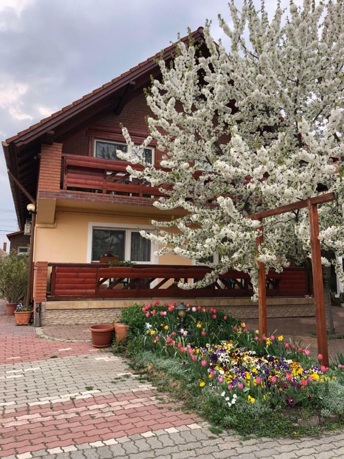 Bed and Breakfast Angela Panzio Berettyóújfalu Zewnętrze zdjęcie